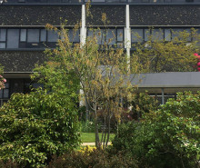 heather davidson 20x