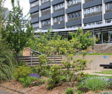 Dr Sue Reynolds banners 20x