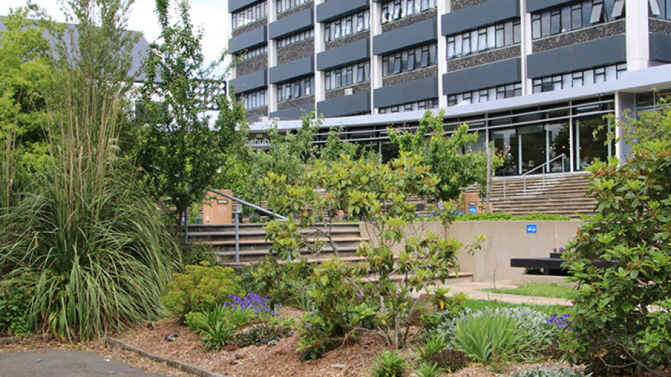 Dr Sue Reynolds banners