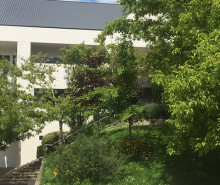 Catherine McEwan 20x