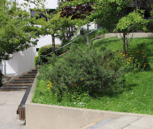 shelley hellier banner 20x