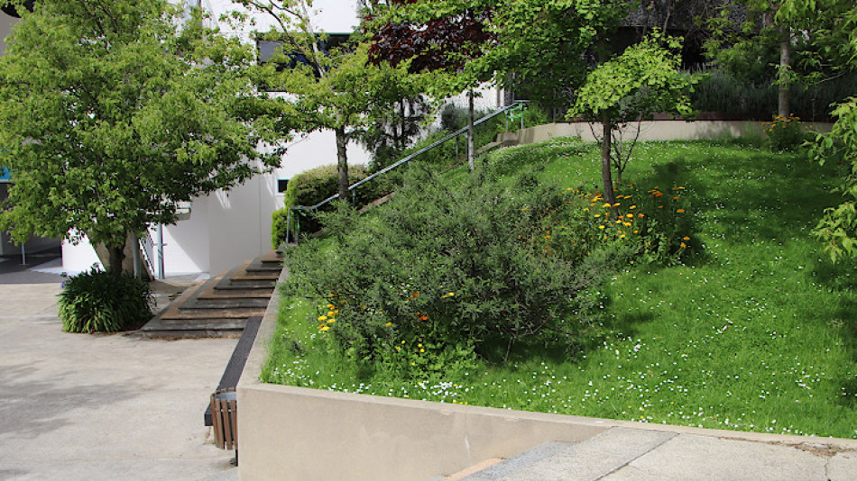 shelley hellier banner